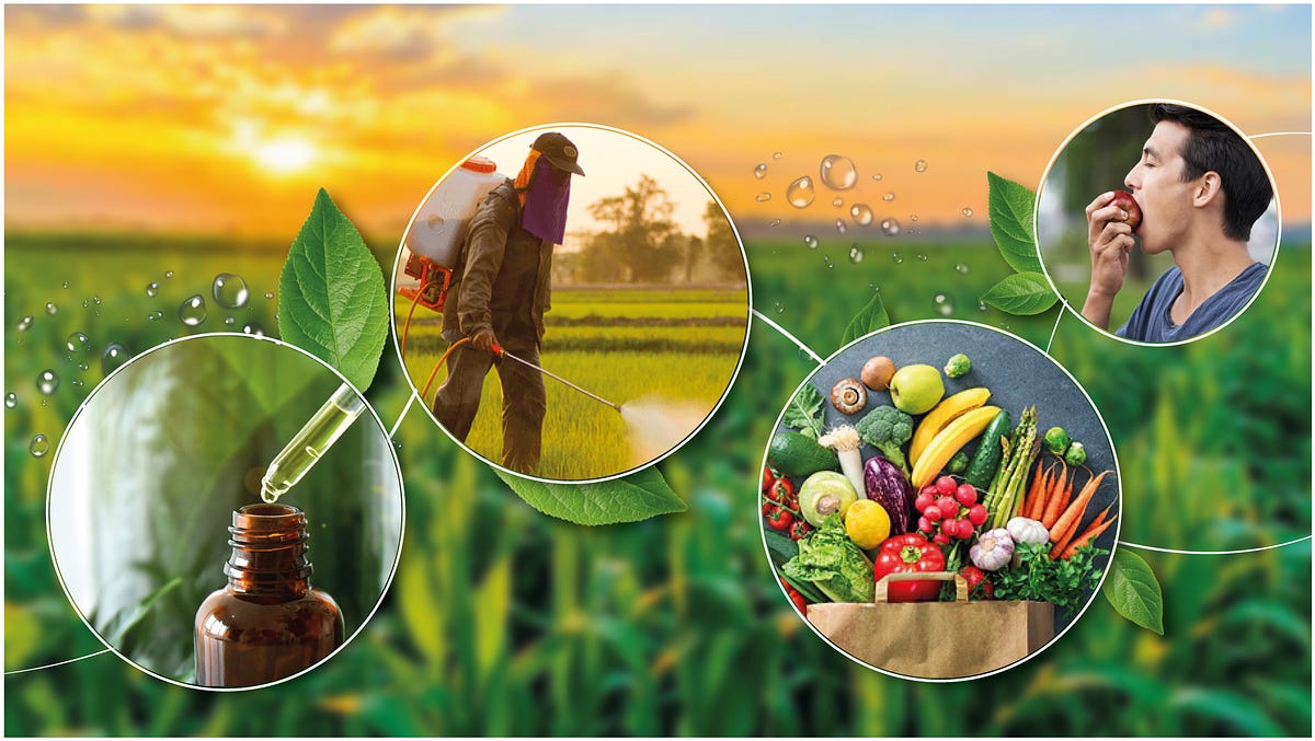 Biopesticides Market Value $5.12 Billion in 2024, Expected to Reach $14.34 Billion by 2033