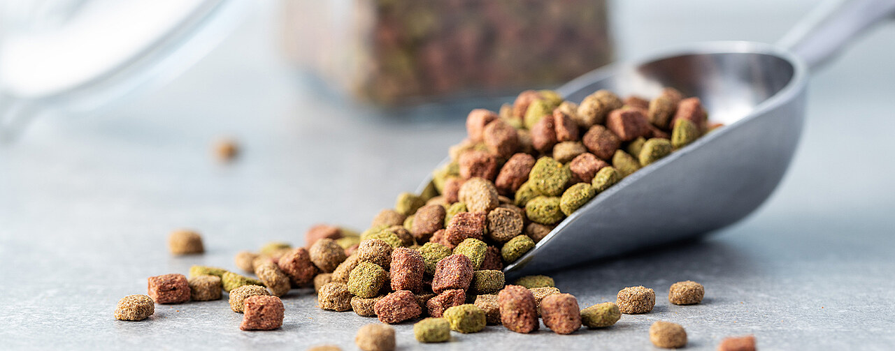 Animal Nutrition Market Growth, Trends, and Future Outlook 2025–2033