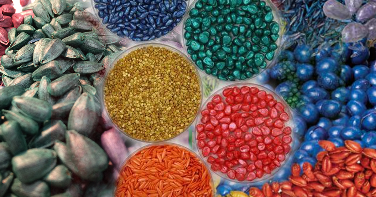 Seed Coating Material Market: Growth Analysis, Drivers, Segmentation, and Forecast