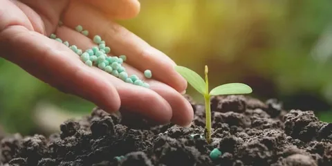 Biofertilizer Market: Growth Analysis, Drivers, Segmentation, and Forecast