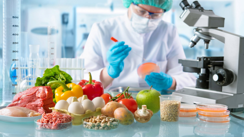 Biological Safety Testing Products And Services Market: Growth Analysis, Drivers, Segmentation, and Forecast