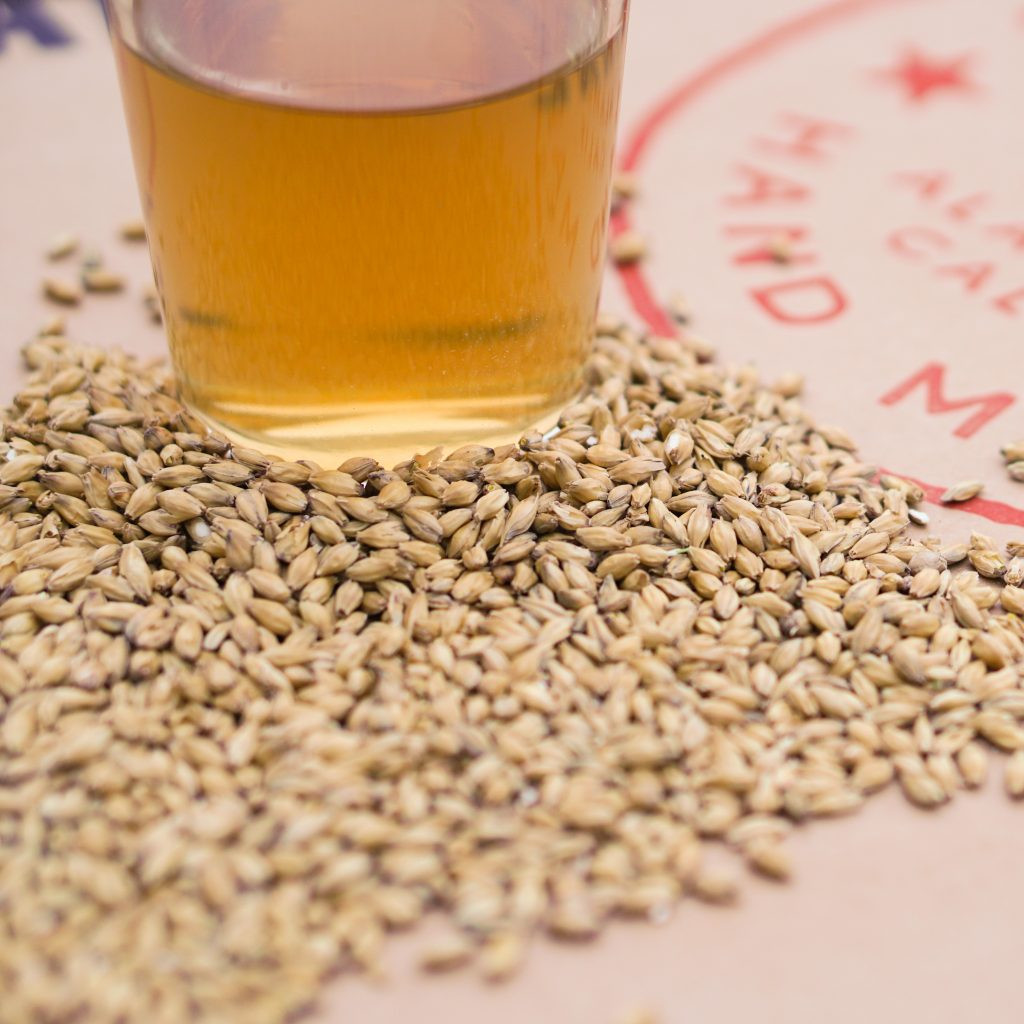 Distillers Malt Market: Growth Analysis, Drivers, Segmentation, and Forecast