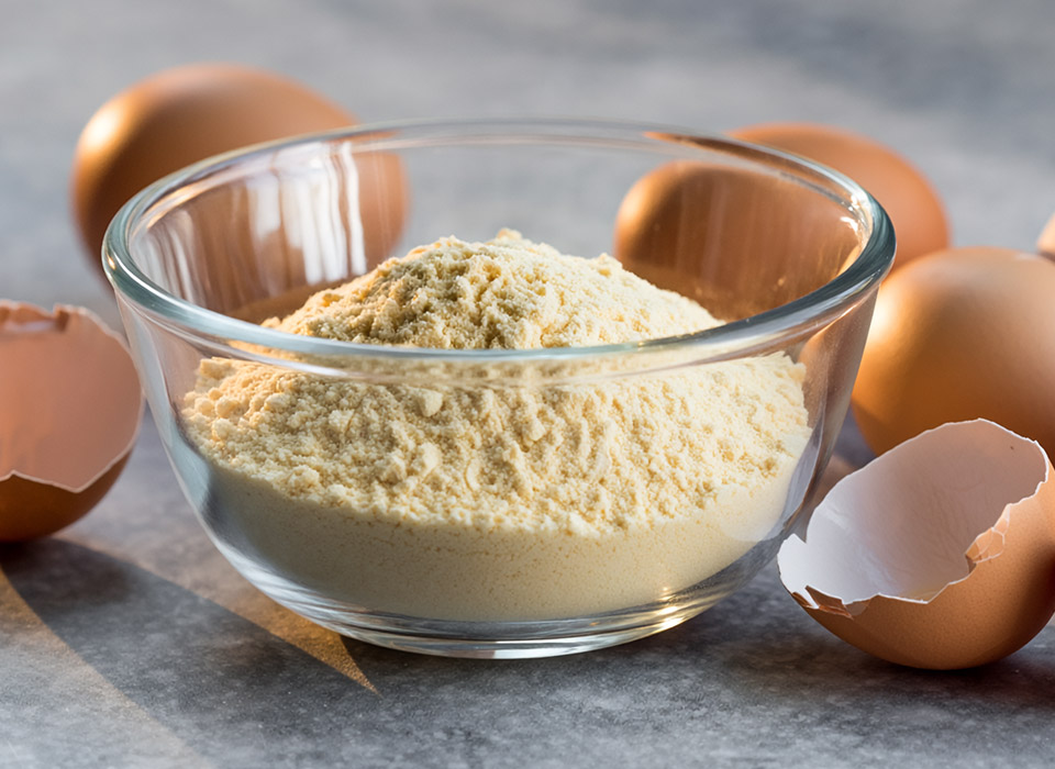 Dried Eggs Market: Growth Analysis, Drivers, Segmentation, and Forecast
