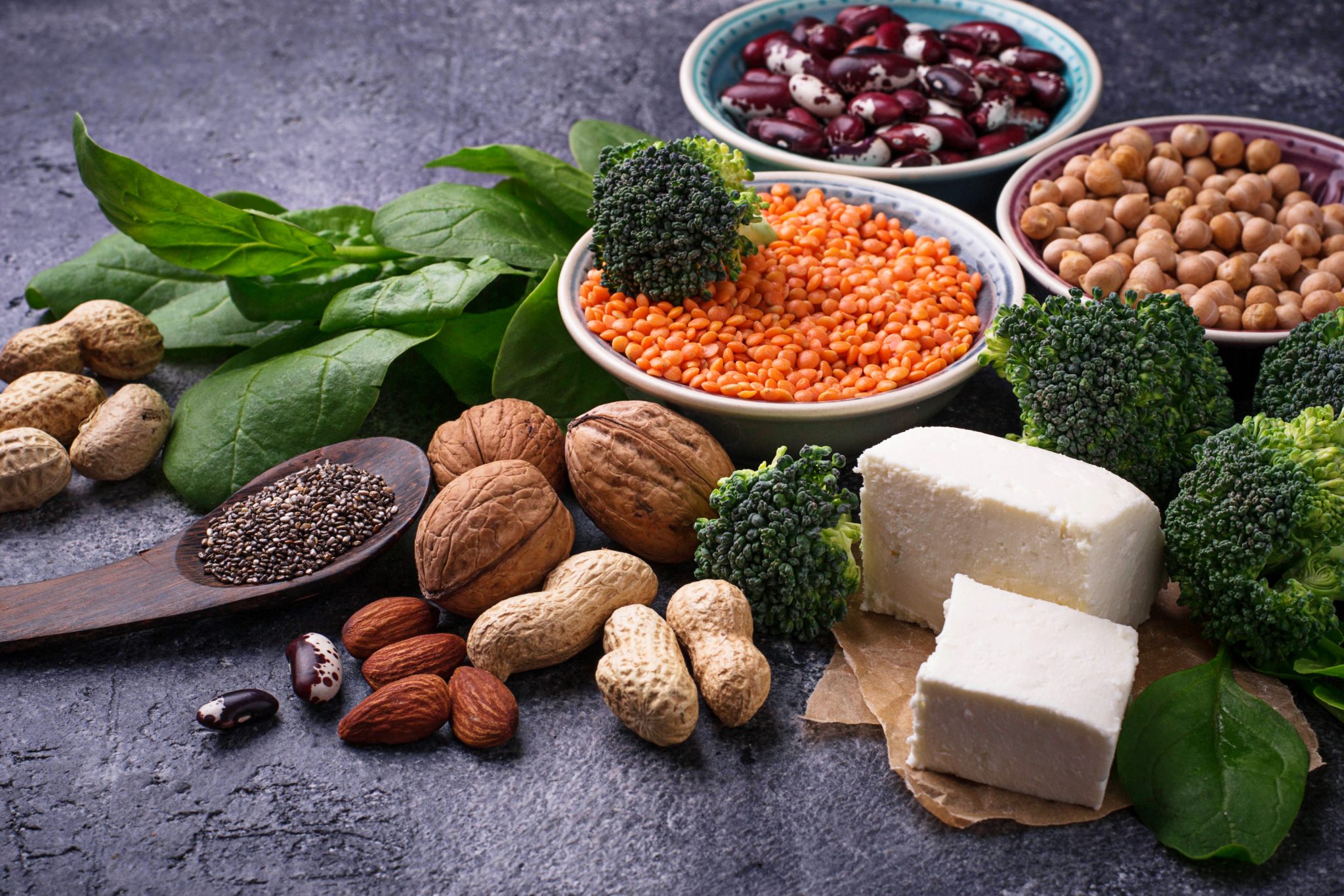 Plant-based Protein Market: Growth Analysis, Key Drivers, Segmentation, and Forecast